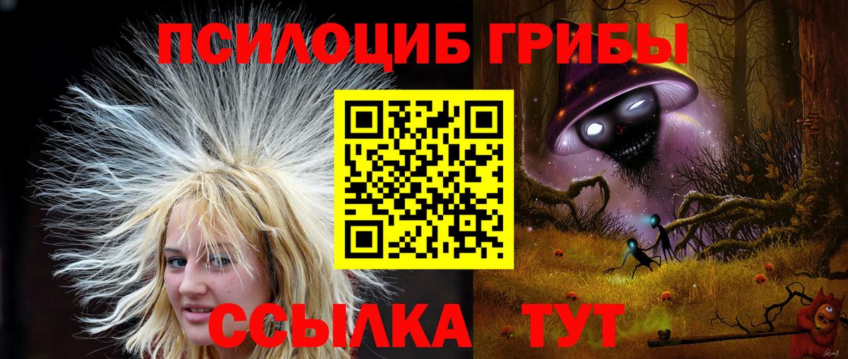 Псилоцибиновые грибы GOLDEN TEACHER Чайковский