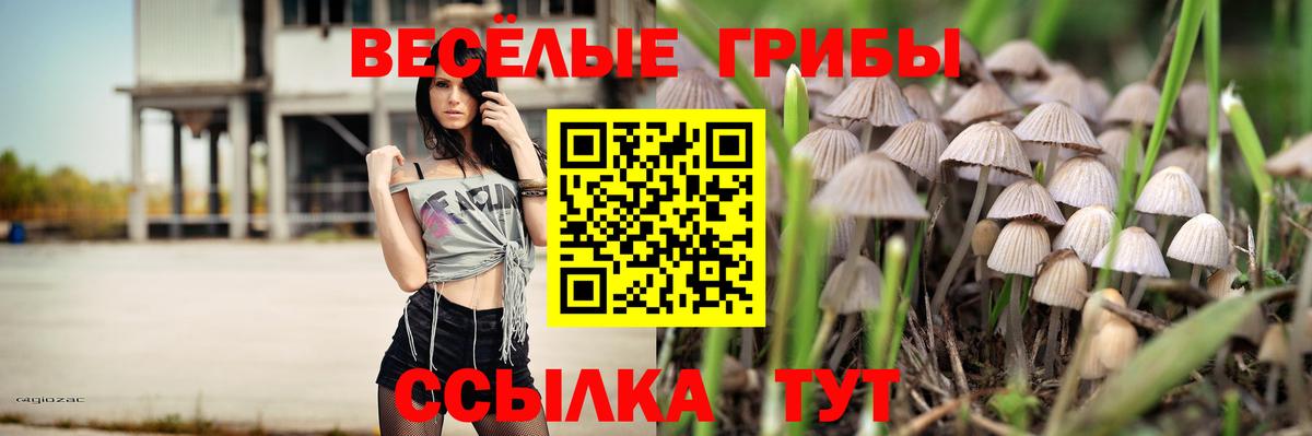 Псилоцибиновые грибы ЛСД  Вход с VPN  Чайковский 